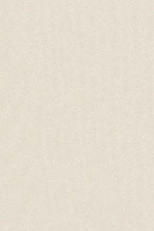 Imagen del producto 10